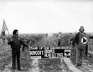 Picketers standing in a field during