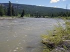 A closeup of a river's edge with an evergreen covered hill in the background