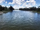 A flowing river lined by evergreen trees