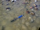 A cylindrical probe attached to a wire submerged in shallow water.