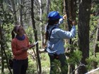 two people looking closely at a tree