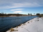 A river flowing through a snowy landscape containing some shrubs and a few bare trees.