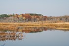 Pond in foreground with fall color trees in background 
