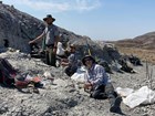 three people working in a fossil quarry