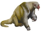 illustration of a ground sloth