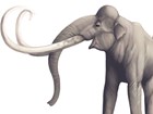 illustration of a mammoth