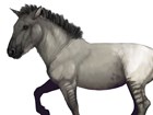 illustration of an ancient horse