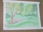 Watercolor of tree in lawn