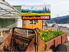 Farm stand. Sign reads Dickeys Farm Store with painting of mountain. Tractor filled with tulips.