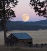 large white moon rising in a pink sunset above a cabin in the grassy caldera