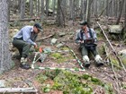 Forest health monitoring