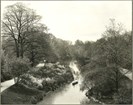 body of water, with both sides having a walking path and dense foliage