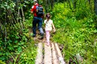 An adult and a child hiking in the forest.