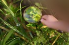 A child looking at plants through a magnifying lens.