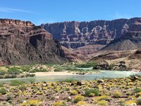 A meandering turquoise river surrounded by vegetation, sand, and high red rock cliffs