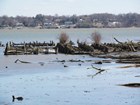 The remnant dyke structures at Dyke Marsh Wildlife Preserve