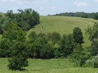 Belts of trees divide a mowed grass hillside under a summer sky.