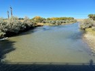 A river lined by shrubs winding into the distance.