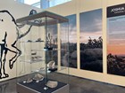 Photo of a display case and murals inside of a visitor center.