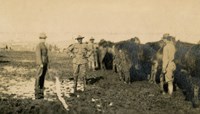 Black and white photo of African American man standing in a muddy pasture.