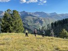 Three technicians stand on a high mountain slope near pine trees.