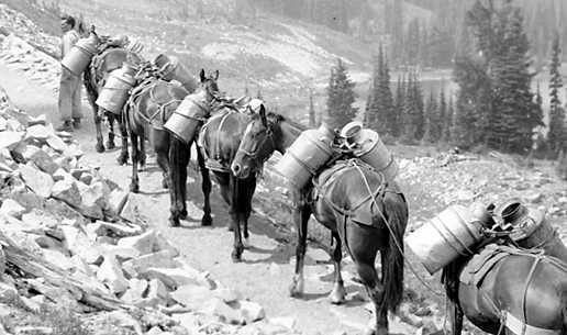 50 Nifty Finds #6: Something Fishy