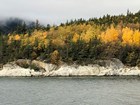 Trees change from green to yellow along a river. 