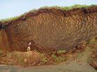 A scientist is dwarfed by a permafrost cut bank.