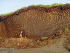 A scientist is dwarfed by a permafrost cut bank.