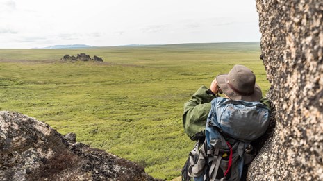 A backpacker looks at granite tors across the tundra through binoculars.