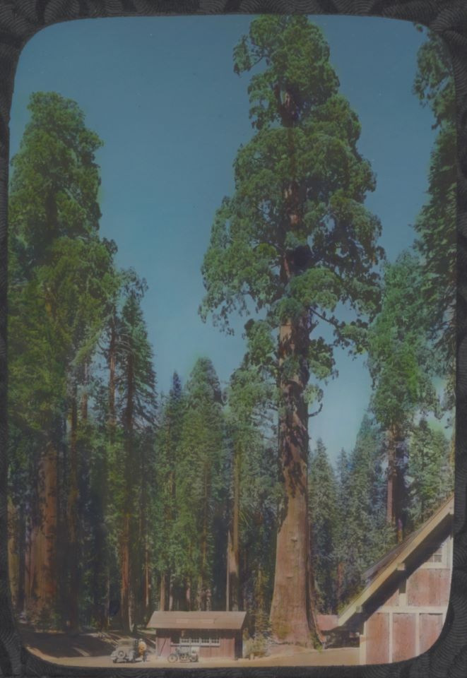 50 Nifty Finds #13: The Artistry of Adult Coloring