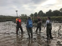 Four technicians wearing hip waders stand in the glistening mud of Kenilworth Marsh.