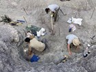 three people working in a fossil quarry