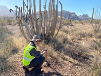Wesley crouching by a desert plant