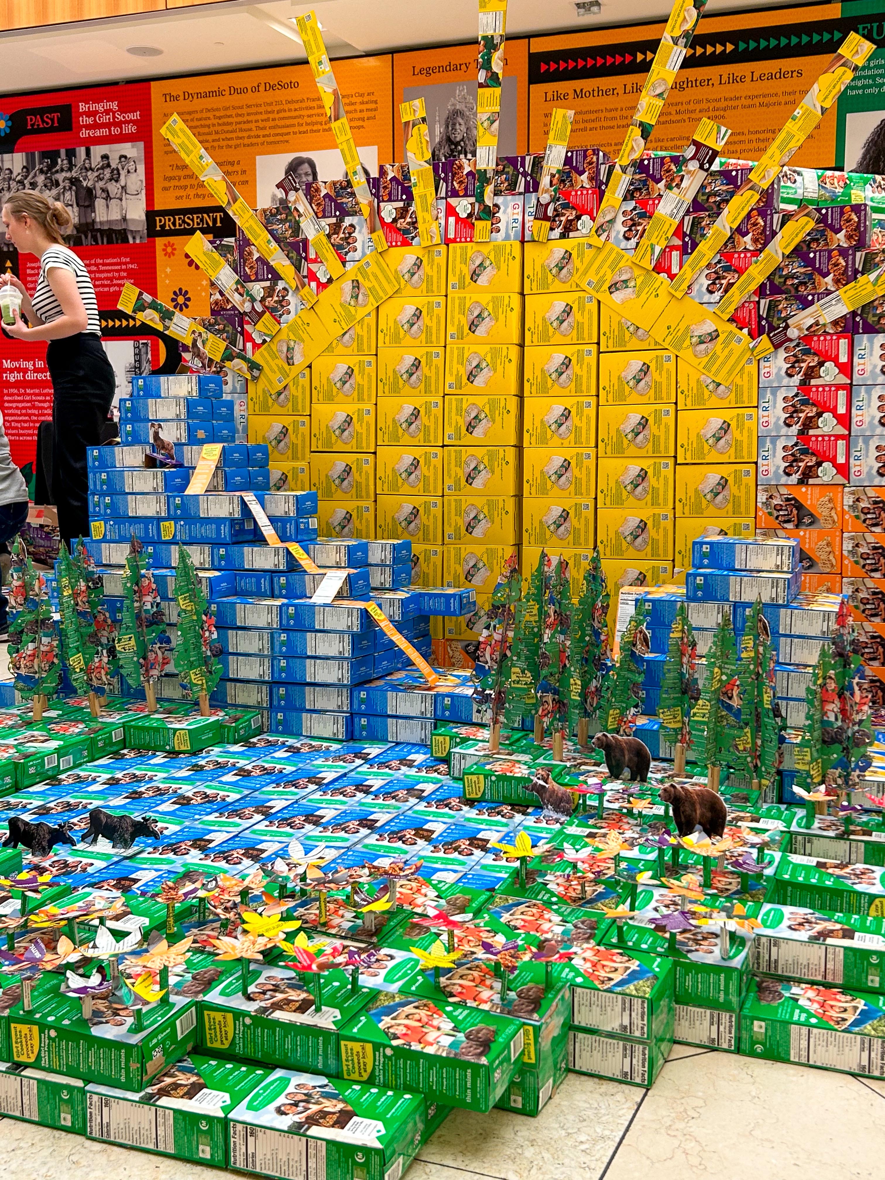 Girl Scouts Use Girl Scout Cookie Boxes to Create National Park Designs