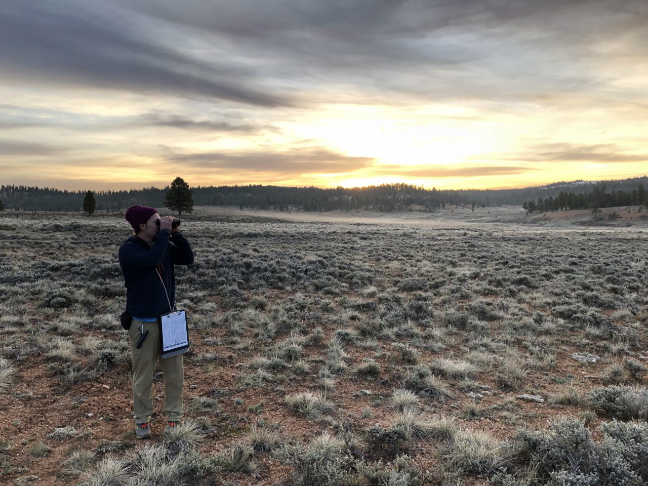 Making an Impact: Long-Term Monitoring of Natural Resources at Intermountain Region National Parks, 2021
