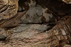 cave walls with vertical lines