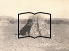 Collage of a vintage photo of a hunting dog and rifle and the outline on an open book