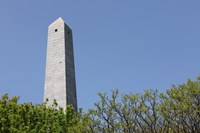 The top third of the Bunker Hill Monument peaking out from behind trees.