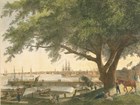 A busy green scene of people working and relaxing along the Delaware River. 