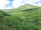 A green meadow and mountains.