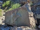 Photo of a boulder with a fossil dinosaur track on the side.