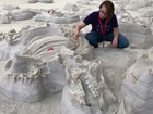 Photo of a person working in a fossil quarry with bones exposed on the ground surface.