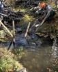 Pool forming upstream of a beaver dam analog