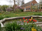 Spring flowers bloom around a pond and in garden beds beside a two-story brick mansion. 