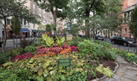 A bronze statue on a pedestal stands in a city park, surrounded by plants and an iron fence