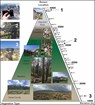 Vertical schematic representing the ESN sensor location by elevation and ecosystem
