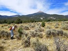 Utah Master Naturalists removing invading pinyon pines and junipers.