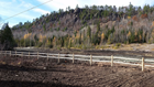 Leafless autumn image of a forested, gray rocky bluff.