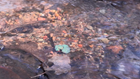 close-up view of a gentle stream flowing over pebbles including a piece of float copper.
